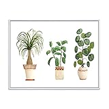 DesignQ 観葉植物のトリオ ポニーテール ヤシの木とイチジク - 伝統的なフレーム入りキャンバスウォールアート