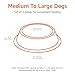 Amazon Basics Stainless Steel Non-Skid Dog Water And Food Bowls, Dishwasher Safe, Rust Resistant, 38oz Capacity, 10 x 2.8 Inches, 2-Pack