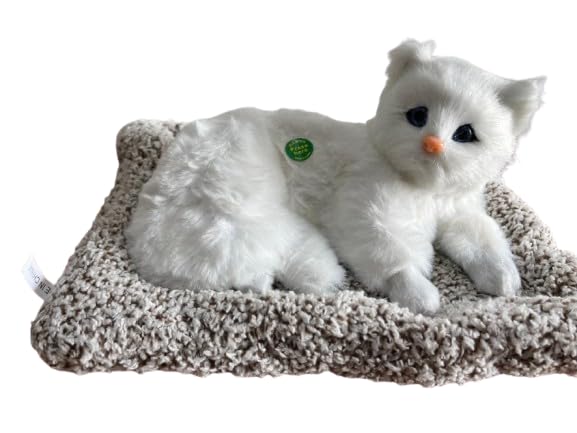 See full amazon price history chart for Alusters Cute Soft Cat Realistic Toy for Kids Soft Toy for Car Dashboard and Home Decor with Activated Carbon | Car Dashboard Soft Toy Sleeping Cat (White) Big Size Alusters Cute Soft Cat Realistic Toy for Kids Soft Toy for Car Dashboard and Home Decor with Activated Carbon | Car Dashboard Soft Toy Sleeping Cat (White) Big Size (B0DG334Y3L) Amazon Price History, Amazon Price Tracker