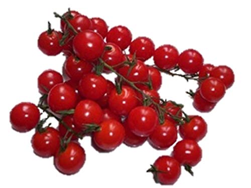 植物種子 甘い小紅チェリー ミニトマト 種 6粒 - Luckyseed - 商品画像