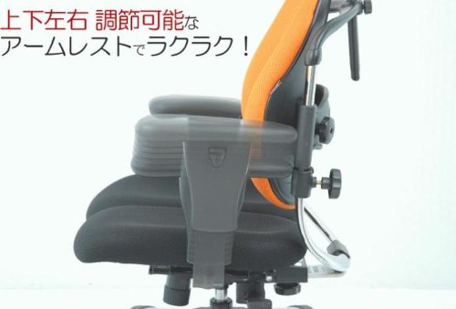 Amazon.co.jp: HARA Chair(ハラチェアー) ナチュール ブルーグリーン 