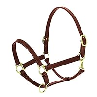 Algopix Similar Product 2 - Ovation Elite Stable Halter Oversize