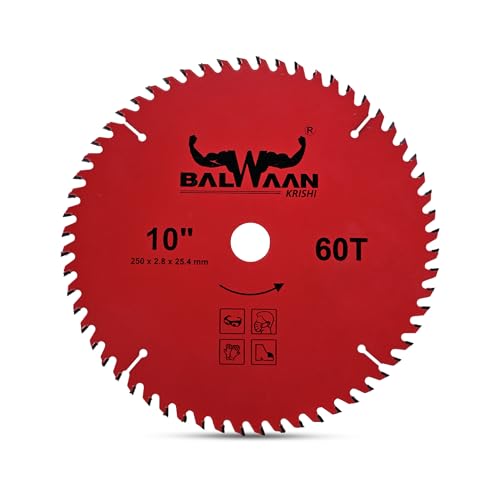 Balwaan Krishi Brush Cutter Blade 10 Inch - Image 2