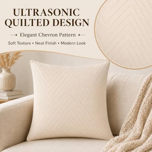 Image of RD TREND UltraSonic Microfiber Cushion Covers, 45 x 45 cm /18 x 18 inches, Set of 2, 250 TC,Back Zipper (Beige)