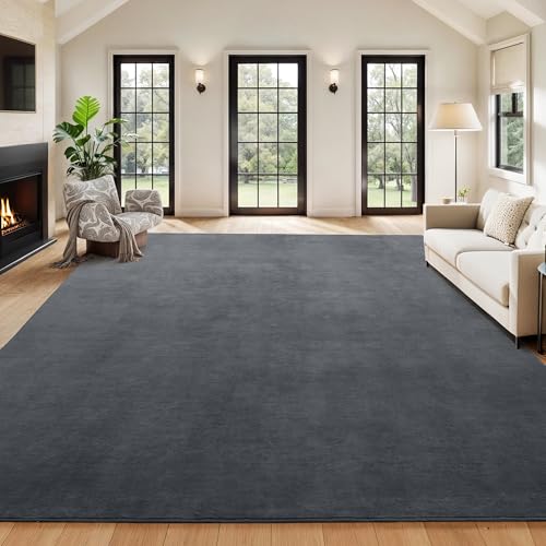 Tapete de área grande 12x15 ft HOMBYS gris miniatura 1