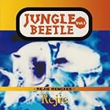 vw beetle cd changer  Jungle Beetle