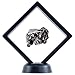 DANCING BEAR Real Meteorite Extra Large (20-32g) Genuine from Campo Del Cielo Argentina, Certificate of Authenticity, Display Case, ID Card, Space Rock, Assembled in the USA