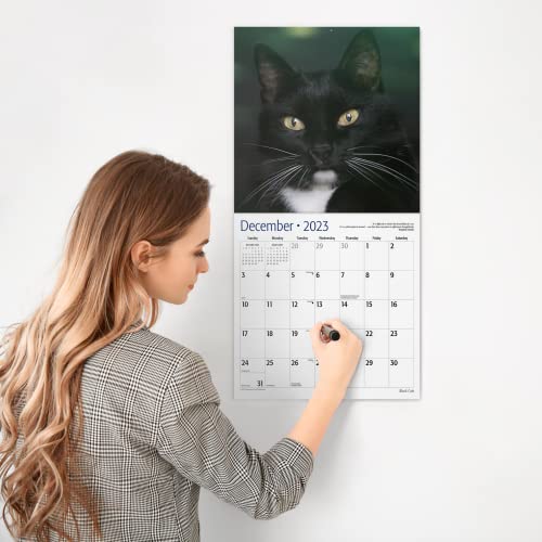 Red Ember Black Cats 2023 Hangable Monthly Wall Calendar | 12" X 24" Open | Thick & Sturdy Paper | Giftable | Cute Kitten | A Year Of Good Luck #TOP3