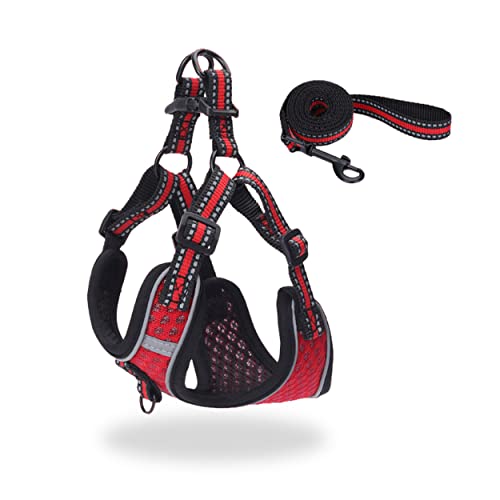 n[lX [h ^ ^ ^ LaLUCA n[lX[hZbg X^_[h Ȃ p   U LaLUCA GOODS