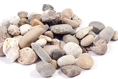 25 Kg Mr. GARDENER Bunt-Kies 40/80