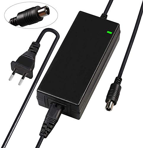 TOPOWN Chargeur Rapide for m365 scooter, Chargeur Adaptateur m365 Trottinette electronique, 42V 2A, avec Protection Anti-Surcharge et Protection Contre Les Courts-Circuits