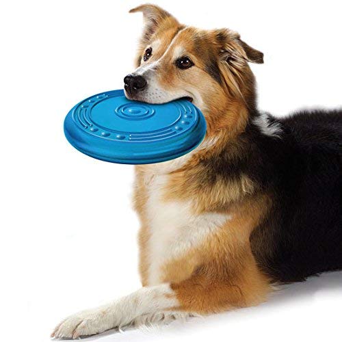Pet Monastry® Flyer Rubber Dog Toy, Dog Frisbee Toys for Dogs & Puppy - Color May Vary (B09WY4457T) Amazon Price History, Amazon Price Tracker