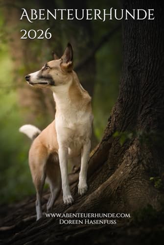 AbenteuerHunde 2026: 53 spannende Erlebnisse für Deinen Hund
