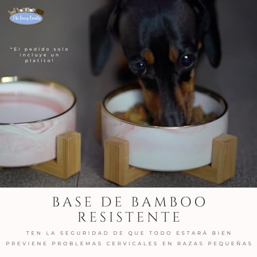 Platos Para Gato, Pet Products Imagen adicional