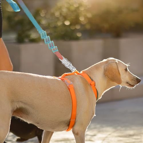 TOGEVAL 2 p[hNCbN[XtbN ϖՃgNVn[hEFA @\bN וpŒ ybg m ȒP