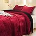 BOV Luxury King Velvet Quilt Set,Ultra-Soft All Season Lightweight Comforter & Bedspread Coverlet, Includes 2 Pillow Shams (Red, King)
