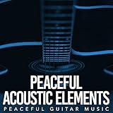 Acoustic Dreams