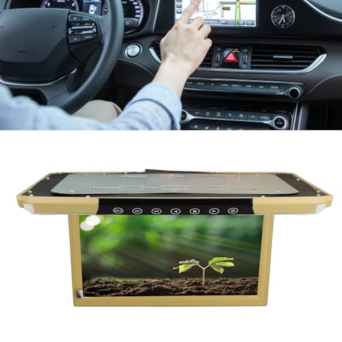 Monitor Tetto per Auto 11,6 Pollici 1920 X 1080 IPS Lettore Tetto per Auto Ultra Sottile Monitor Montato Tetto Doppio Ingresso e Uscita Video per Auto