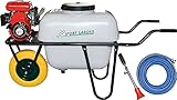 FUMIGADORA GAS.1 RUE.4T 2,5HP 100L 20BAR