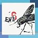 Eve 6