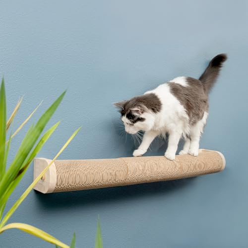 Image of Floating Cat Shelf & Perch - Wall-Mounted Climbing Furniture for Cats - Moonbeam Path | Ascentials by FurHaven