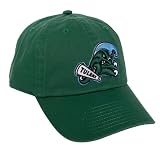 Desert Cactus Tulane University Baseball Hat Embroidered Cap (A) Green