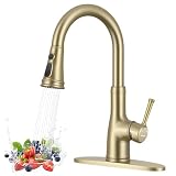 WEWE Vintage Kitchen Faucet with Pull Down Sprayer, Stainles...