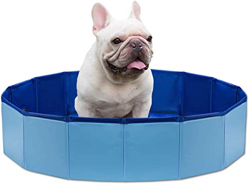 Piscina per cani - Revolution Pet acqua, divertente, giochi estivi