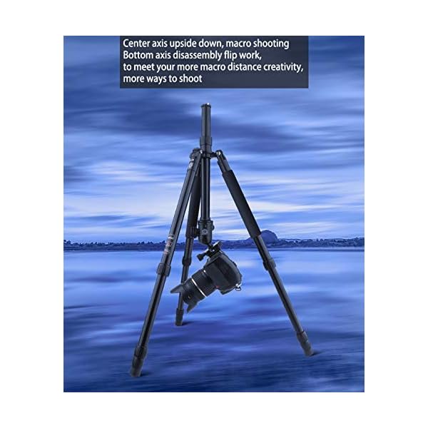 61-Inch Lightweight Tripod Kamerastativ Reisestativ Fotostativ Kamera Stativ Fotostativ Kamerastativ Aluminium Leichtes… – Bild 7