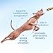Native Pet Goat Milk for Dogs - Organic Goat Milk Powder for Dogs and Cats - Puppy Formula Dairy Replacement Packed with Protein & Vitamins for Immunity, Recovery & Growth for Active Pups - 60 Scoops