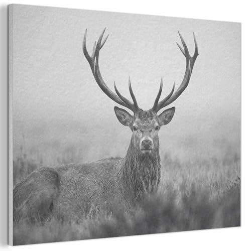 Wall art de fieltro MuchoWow de 40x30 cm con diseño contemporáneo de ciervo para dormitorios