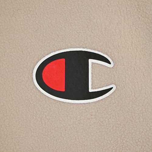 Champion Boys Fashion Hoodie Pullover Sweatshirt for Kids with Stylish Embellishments3