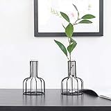 vase moderne design Glasflasche: Es ist aus Borosilikatglas gefertigt, es macht Oberfläche glatt und Durchlässigkeit gut, ist Hydroponik geeignet.