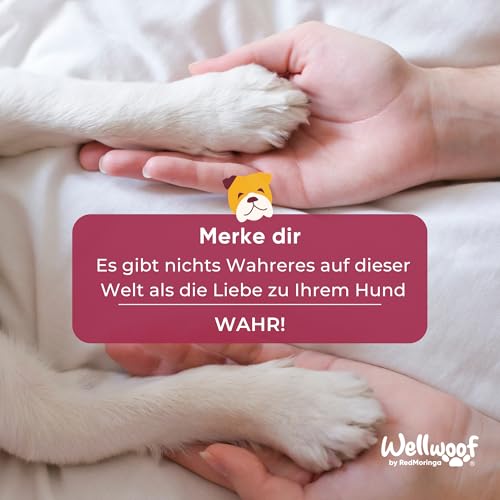 Wellwoof 100% Natürliches Nasenbalsam für Hunde - Repariert und Schützt Rissige Hundenase mit - Vegane & beim Ablecken Nicht Giftige Nasenpflege Hund - Made in Italy