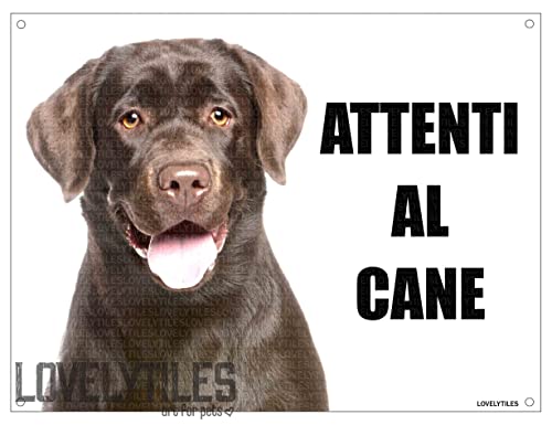 LABRADOR CIOCCOLATO attenti al cane mod 2 TARGA cartello IN METALLO (20X30)