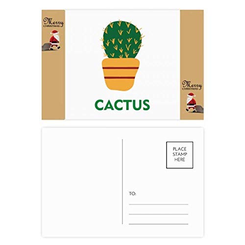 Cactus verts en pot comme cadeaux d'invités : lot de 20 petites plantes