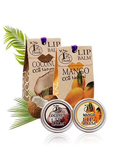 Preisvergleich Produktbild RK RAKAO® 100% Natürlicher Lippenbalsam, Umweltfreundlich - Perfekte Lippenpflege für ausgetrocknete Lippen und ideal zur Vorbeugung spröder Lippen - bee lip balm - Bienenwachs (Mango-Coconut)