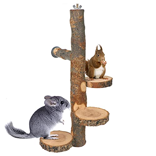 YKD-Chinchilla-Large-Hanging-Wooden-Rotating-Platform-Small-Animals-Natural-Fruit-Wood-Standing-Platform-Squirrel-Suger-Glider-Platform-Bird-Perch-Platform