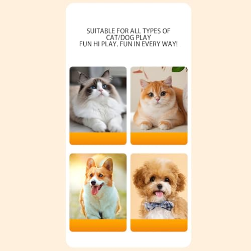 Pelota interactiva para Perros, Juguetes interactivos para Perros, Suministros silenciosos Recargables para Mascotas con Luces LED, Juegos para Cachorros para masticadores agresivos de Interior - imagen 4