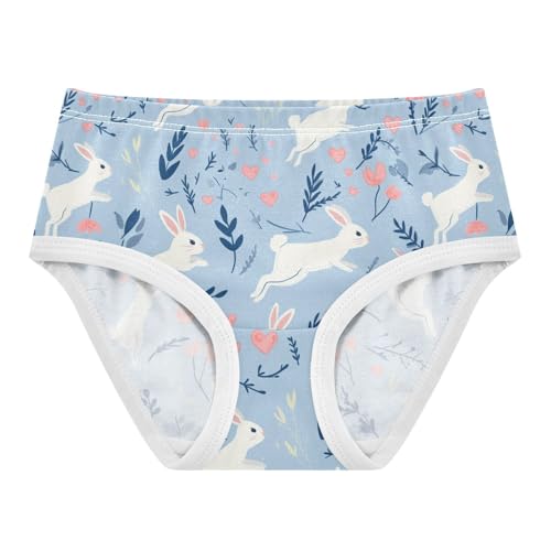 Wusikd Rabbits Running Girls' Underwear Cotton Blue Wildflowers Girls Briefs Soft Toddler Underwear 2T