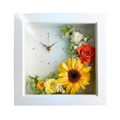 Lulu's Y NZg[Ԏv Ђ܂  vU[uht[ XNGA p` uv |v TCY:20cm 20cm 8cm NZg[vЂ܂M Lulu's-0775