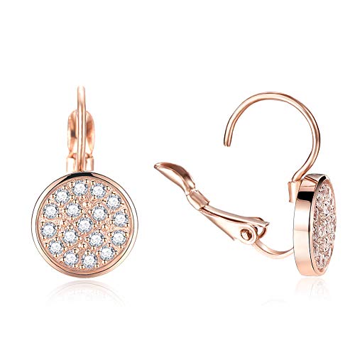 VOJO Cubic Zirconia Drop Dangle Earrings for Women Rose Gold Plated Stainless Steel Leverback Earring