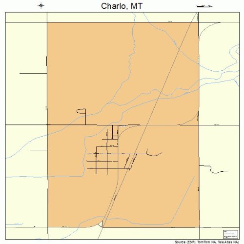 Large Street & Road Map of Charlo, Montana MT Printed poster size
