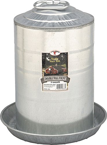 Little Giant Farm & Ag 9833 3 Gallon Double Wall Fount