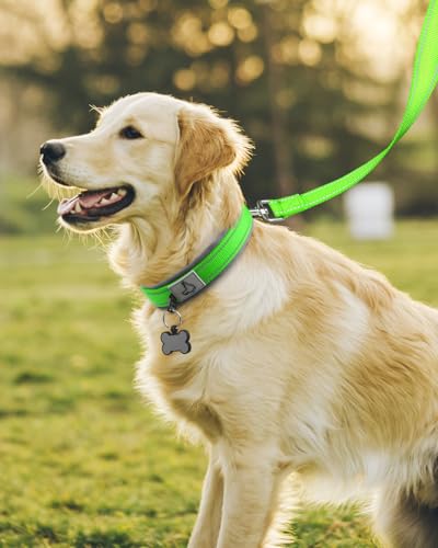 Image of Joytale Dog Collar for Large Dogs, Neoprene Padded and Adjustable, Reflective Wide Heavy Duty Pet Collars with Durable Metal Belt Buckle for Walking, Green, L