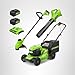 Greenworks 48V (24V x 2) 20