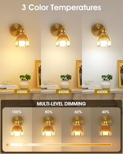 Image of VOLISUN Vintage Battery Operated Wall Sconce,with Amber Tulip Glass Lampshade, Wireless Wall Sconce, Rechargeable Battery Powered Wall Light, Sconce Wall Decor for Bedroom Living Room