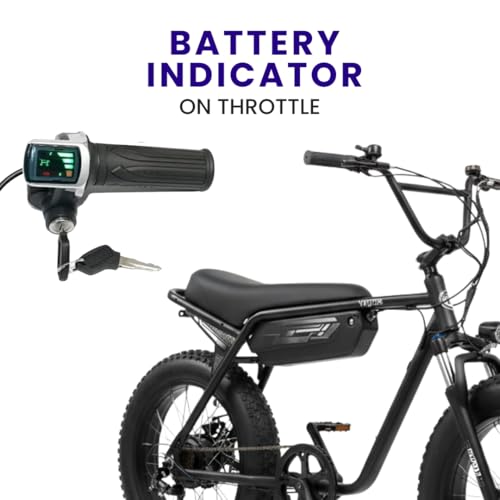 Image of VIGOREBIKE ZE