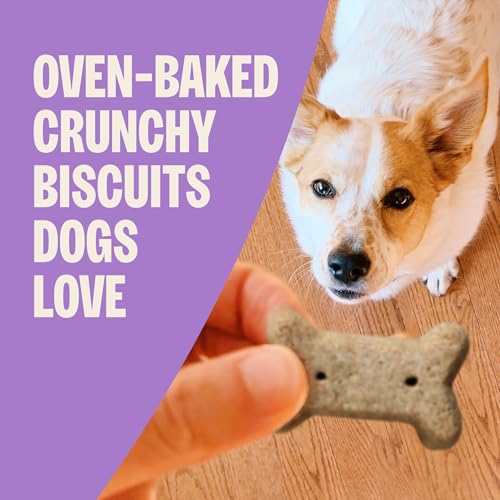 Wellness Old Mother Hubbard Classic P-Nuttier Dog Biscuits, Natural Training Treats, Peanut Butter Flavor, Large Size, 6 lb Box