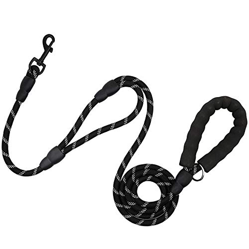Grande laisse pour chien idéale pour les balades de nuit grâce à sa corde réfléchissante